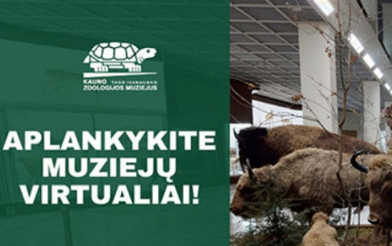 Per karantiną – nemokamos virtualios ekskursijos ir edukacijos
