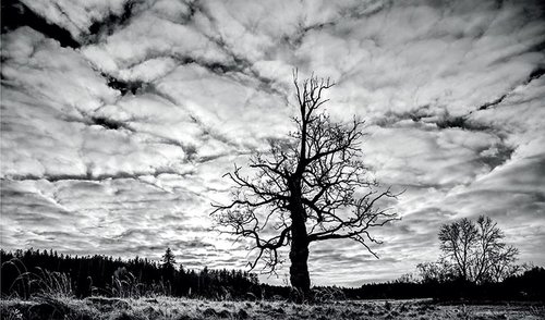 Virtuali paroda: XX-oji kasmetinė tarptautinė gamtos fotografijų paroda