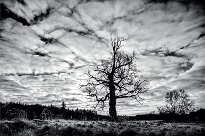 Virtuali paroda: XX-oji kasmetinė tarptautinė gamtos fotografijų paroda