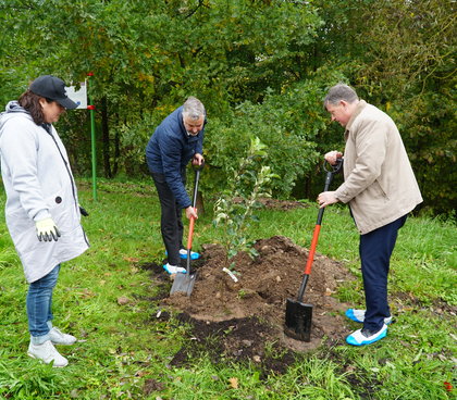 2021-09-25 OBELŲ GATVĖJE – OBELŲ ALĖJA
