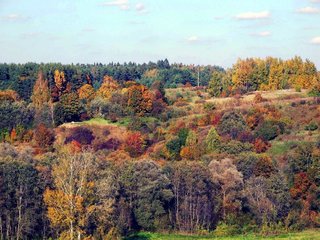 12 idėjų darganotiems rudens vakarams Anykščiuose