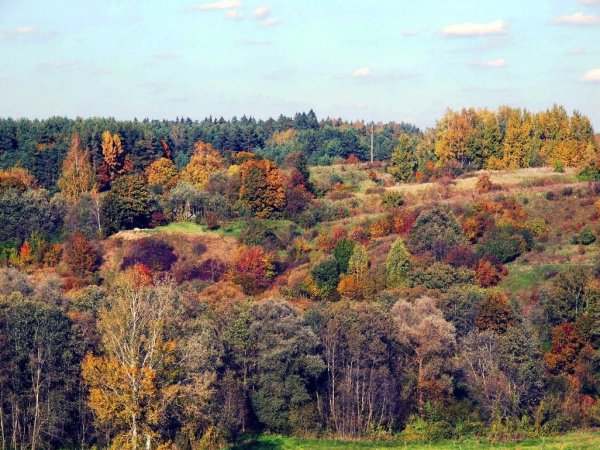 12 idėjų darganotiems rudens vakarams Anykščiuose