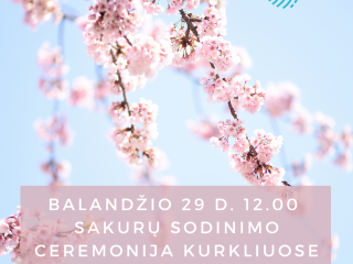 Sakurų sodas Kurkliuose