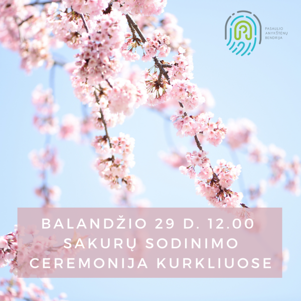 Sakurų sodas Kurkliuose