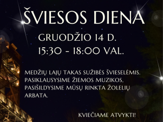 Šviesos diena