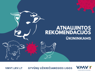 AKTUALI INFORMACIJA GYVENTOJAMS: svarbu laikytis paukščių gripo prevencijos
