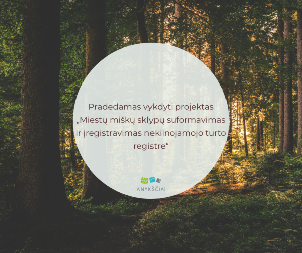 Vykdomas projektas „Miestų miškų sklypų suformavimas ir įregistravimas nekilnojamojo turto registre“