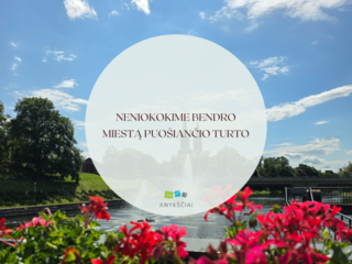 NENIOKOKIME BENDRO MIESTĄ PUOŠIANČIO TURTO