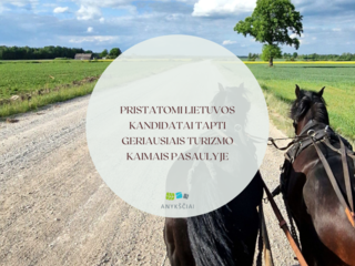 Pristatomi Lietuvos kandidatai tapti geriausiais turizmo kaimais pasaulyje
