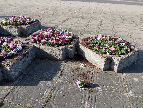 PUOŠKIME MIESTĄ – NEGRIAUKIME JO GROŽIO!