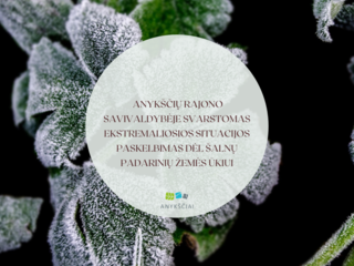 ANYKŠČIŲ RAJONO SAVIVALDYBĖJE SVARSTOMAS EKSTREMALIOSIOS SITUACIJOS PASKELBIMAS DĖL ŠALNŲ...