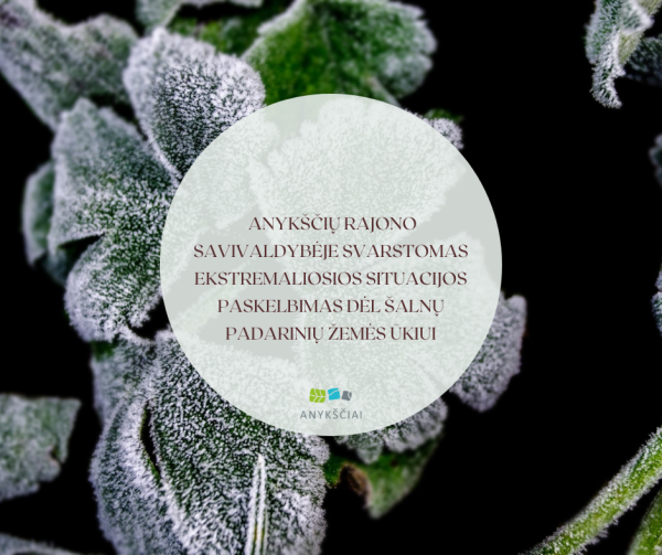 ANYKŠČIŲ RAJONO SAVIVALDYBĖJE SVARSTOMAS EKSTREMALIOSIOS SITUACIJOS PASKELBIMAS DĖL ŠALNŲ...