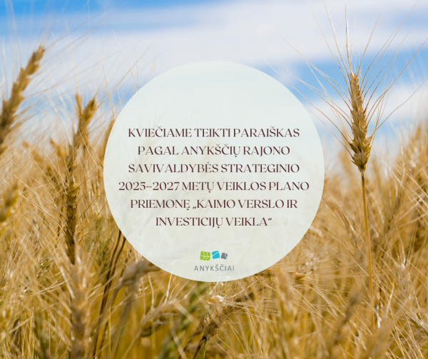 Kviečiame teikti paraiškas pagal Anykščių rajono savivaldybės strateginio 2025–2027 metų veiklos...