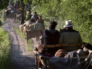 Pažvelgti į kaimo kultūrą iš arčiau – keliautojai tradiciniais žemaitukų kinkiniais riedės po...
