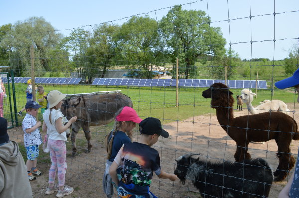 ,,Kieme šoka vasara“: Nepamirštama stovykla vaikams