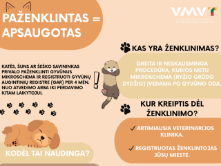 Valstybinė maisto ir veterinarijos tarnyba skatina rūpintis gyvūnų gerove