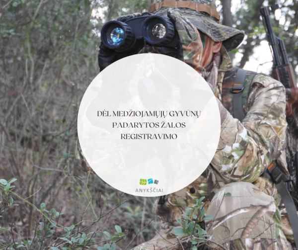 Dėl medžiojamųjų gyvūnų padarytos žalos registravimo