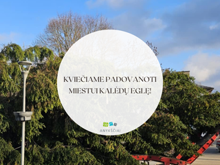 KVIEČIAME PADOVANOTI MIESTUI KALĖDŲ EGLĘ!