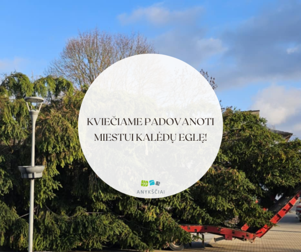 KVIEČIAME PADOVANOTI MIESTUI KALĖDŲ EGLĘ!