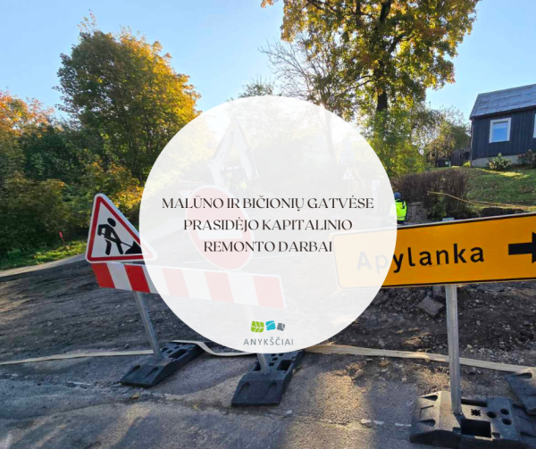 Malūno ir Bičionių gatvėse prasidėjo kapitalinio remonto darbai