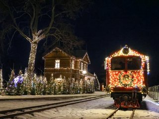 Gruodžio mėnesį Lietuvoje keliones pradės Kalėdinis Siaurukas