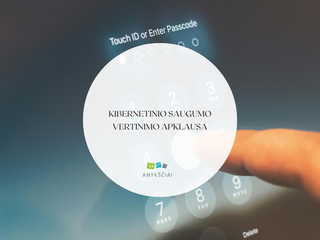 Kibernetinio saugumo vertinimo apklausa