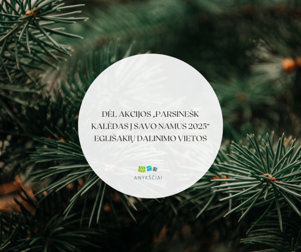 DĖL AKCIJOS „PARSINEŠK KALĖDAS Į SAVO NAMUS 2025“ EGLIŠAKIŲ DALINIMO VIETOS