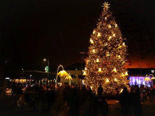 ŠIANDIEN ANYKŠČIUOSE ĮŽIEBTA KALĖDŲ EGLĖ: MIESTAS VIRTO ŽYDINČIA ŽIEMOS OAZE