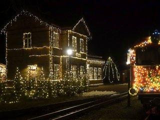 Keliones pradeda reguliarieji Kalėdinio siauruko reisai