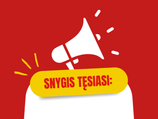 Snygis tęsiasi: informacija apie gatvių būklę ir valymo darbus