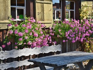 Kaimo bendruomenės kviečiamos sukrusti