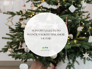 NUPUOŠTĄ EGLUTĘ PO ŠVENČIŲ PALIKITE TINKAMOJE VIETOJE