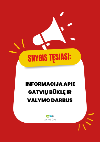 Snygis tęsiasi: informacija apie gatvių būklę ir valymo darbus