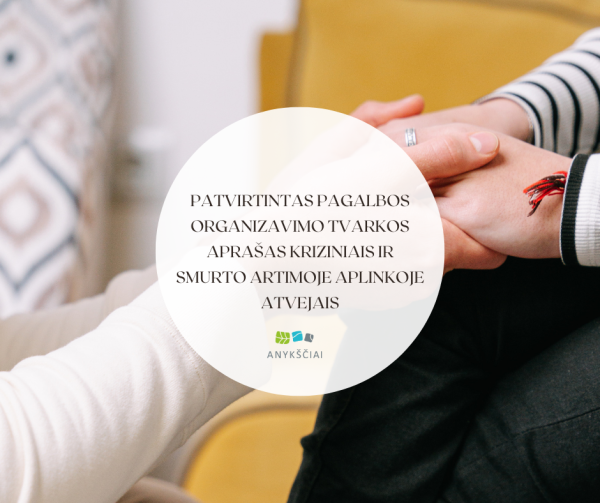 Patvirtintas pagalbos organizavimo tvarkos aprašas kriziniais ir smurto artimoje aplinkoje atvejais