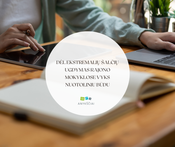 Dėl ekstremalių šalčių ugdymas rajono mokyklose vyks nuotoliniu būdu