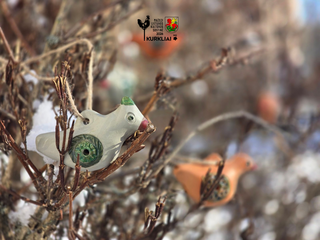 Anykščiai Vilniaus knygų mugėje 2026: nuo literatūros klasikos iki Mažosios Lietuvos kultūros...