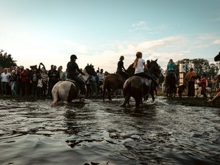 ŽIRGŲ MAUDYNIŲ TRADICIJA ANYKŠTĖNŲ NAKTIGONĖS ŠVENTĖJE – NEMATERIALAUS KULTŪROS VERTYBIŲ SĄVADE