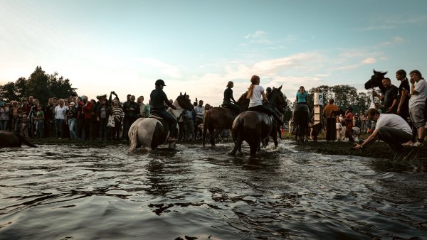 ŽIRGŲ MAUDYNIŲ TRADICIJA ANYKŠTĖNŲ NAKTIGONĖS ŠVENTĖJE – NEMATERIALAUS KULTŪROS VERTYBIŲ SĄVADE