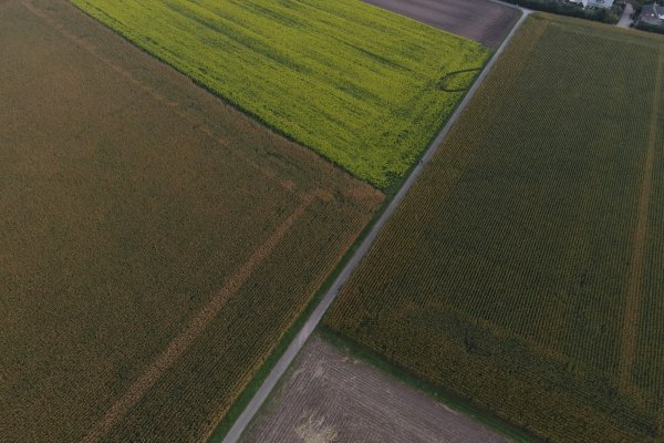 Žemės ūkio naudmenų deklaravimas 2026 m.: kas naujo?
