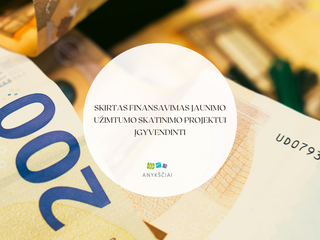 SKIRTAS FINANSAVIMAS JAUNIMO UŽIMTUMO SKATINIMO PROJEKTUI ĮGYVENDINTI