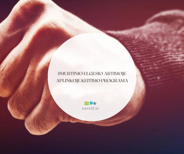 Smurtinio elgesio artimoje aplinkoje keitimo programa