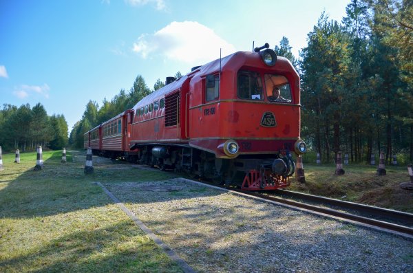 Siaurukas kviečia mažuosius keliautojus į nuotaikingą vasaros sutiktuvių kelionę!