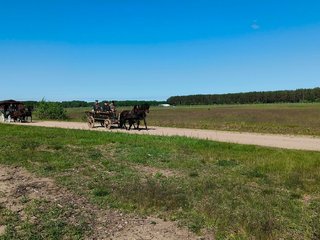 Prasideda unikali kelionė į šventę „Bėk bėk, žirgeli!“: nuo Valkininkų iki Niūronių – senoviniais...