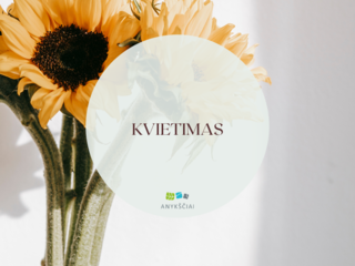 Kviečiame teikti kandidatūras Metų mokytojo premijai gauti