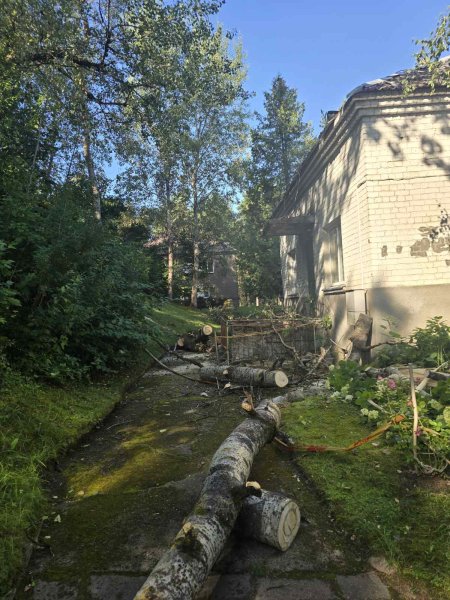 Lūžęs medis apgadino namo stogą – šalinami kiti pavojingi medžiai