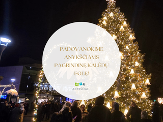 PADOVANOKIME ANYKŠČIAMS PAGRINDINĘ KALĖDŲ EGLĘ!