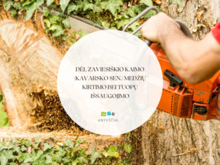 DĖL ZAVIESIŠKIO KAIMO (KAVARSKO SEN.) MEDŽIŲ KIRTIMO BEI TUOPŲ IŠSAUGOJIMO